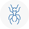 Ant Removals In Lower Sunbury