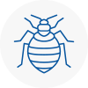 Bed Bug Extermination In Lower Sunbury