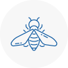 Bee Nest Removal Lower Sunbury