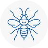 Lower Sunbury Hornet Nest Removals