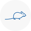 Mice Exterminators In Lower Sunbury