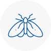 Moth Control Specialists In Lower Sunbury