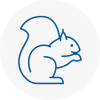 Lower Sunbury Rodent Removals