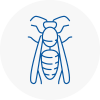 Lower Sunbury Wasp Nest Removal
